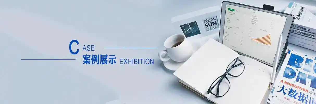 通城县软件开发
